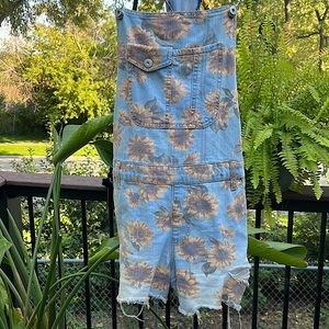 No Boundaries Overall Shorts